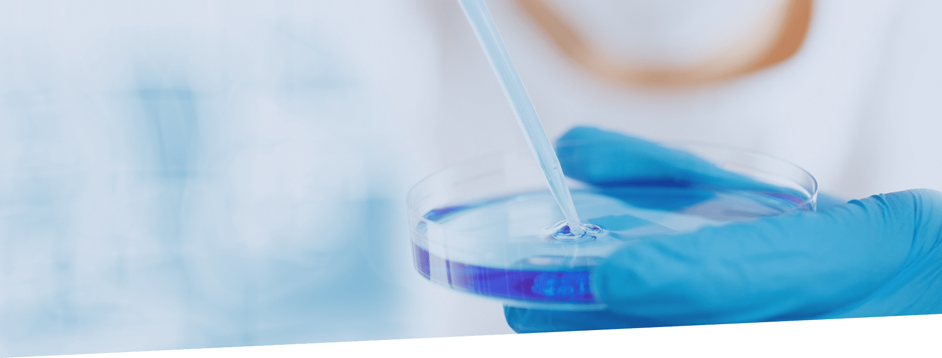 AG�ι��֡�(�й���)���޹�˾����