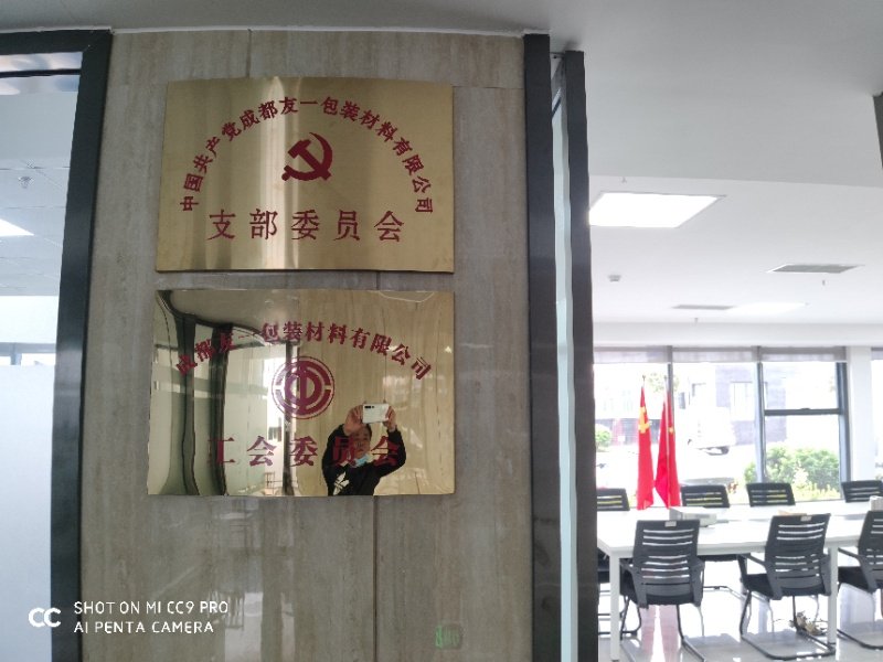 ����ף��AG�ι��ּ��ųɶ��ֹ�˾��֧����2020��3��11�����ƽ�����֧����ǲ���(������˾��)